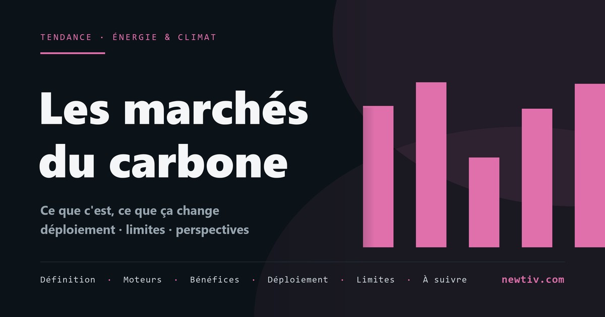 Les marchés du carbone volontaires