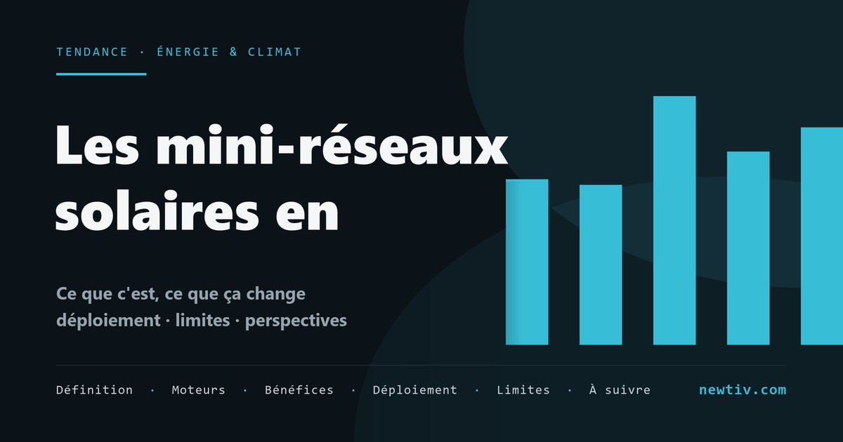 Les mini-réseaux solaires en Afrique